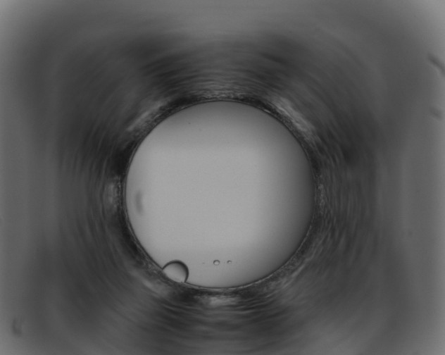 X0000093370165200710111333