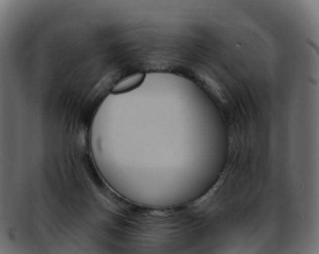 X0000093370166200710111333