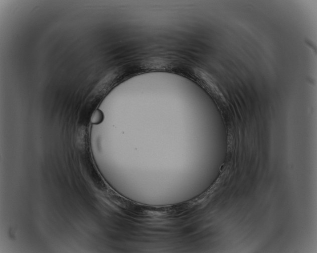 X0000093370167200710111333