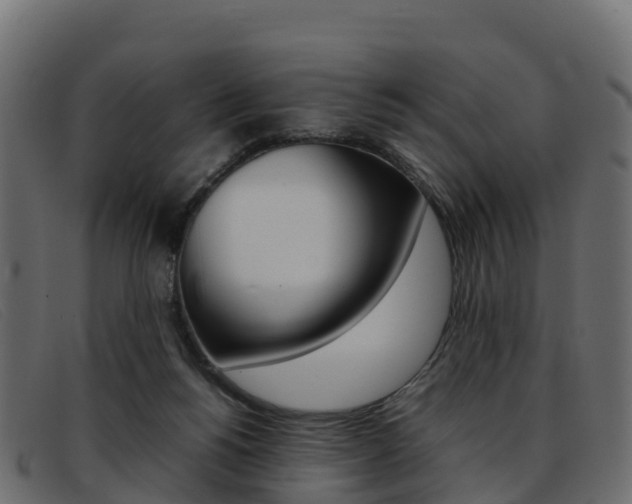 X0000093370168200710111333