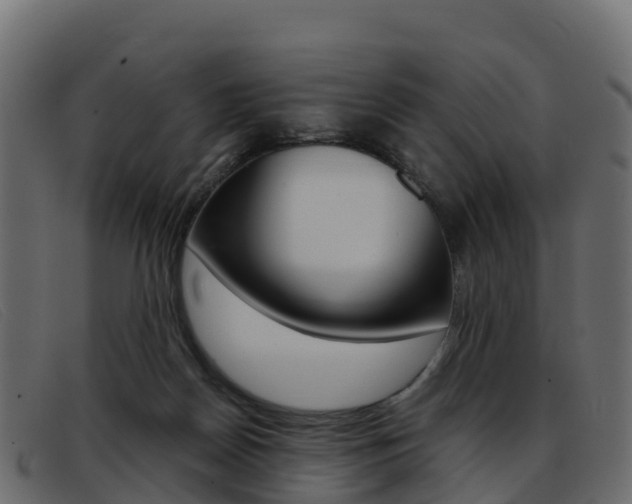X0000093370170200710111333
