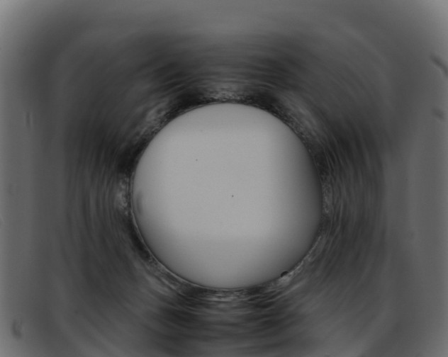 X0000093370175200710111333