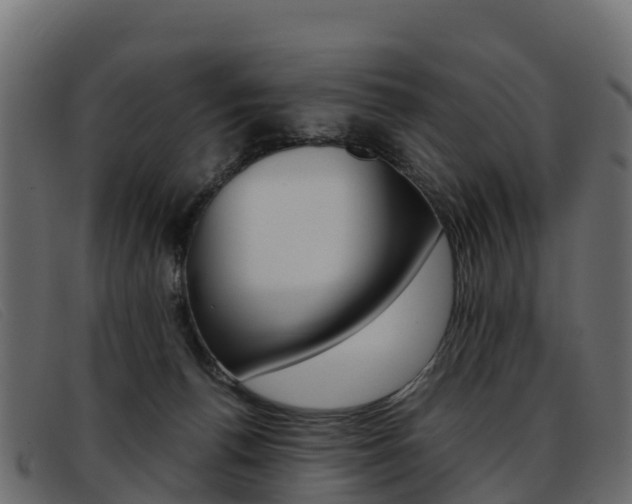 X0000093370176200710111333