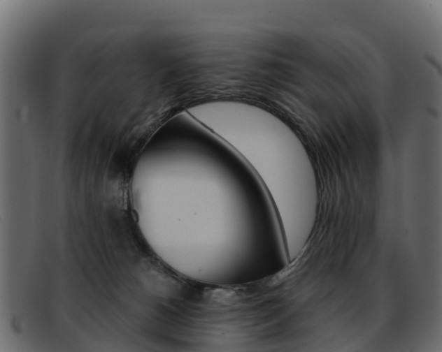 X0000093370180200710111333