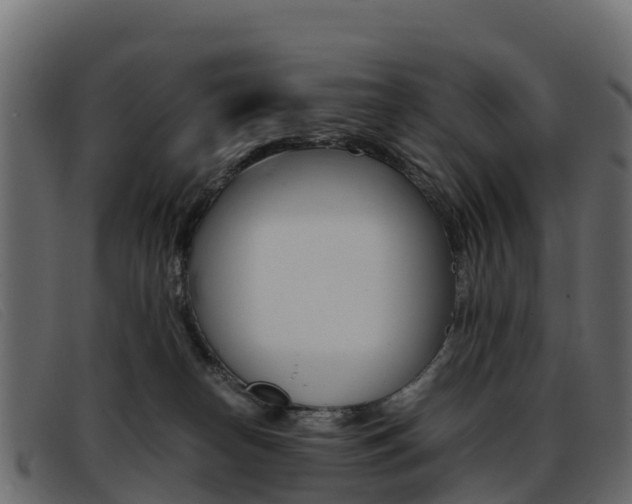X0000093370182200710111333