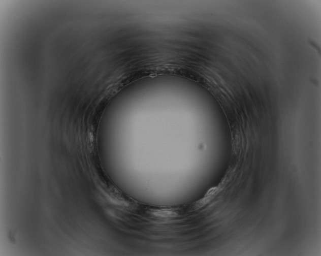 X0000093370183200710111333