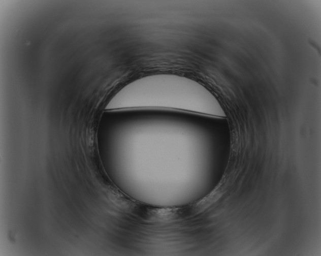 X0000093370184200710111333