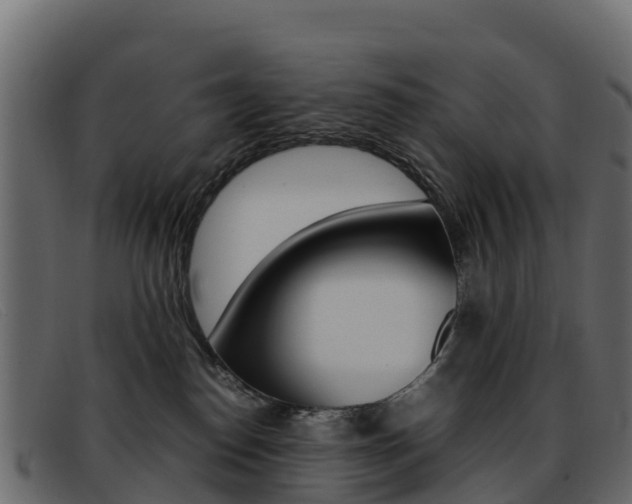 X0000093370186200710111333