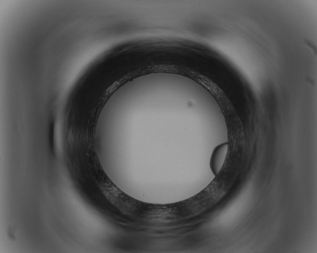X0000093370189200710111333