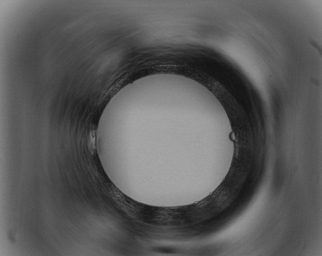 X0000093370190200710111333