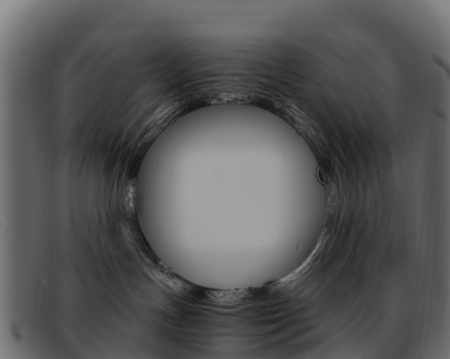 X0000093370191200710111333