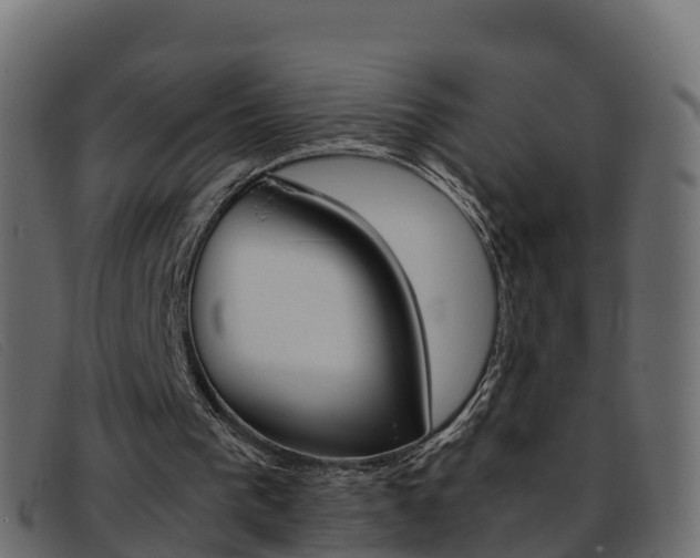 X0000093370193200710111333