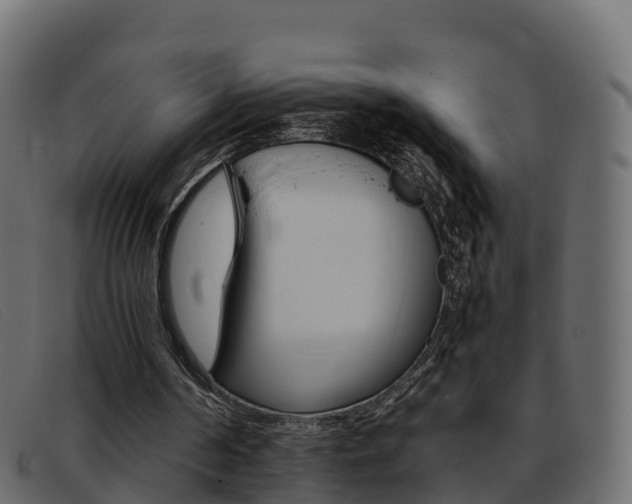 X0000093370194200710111333