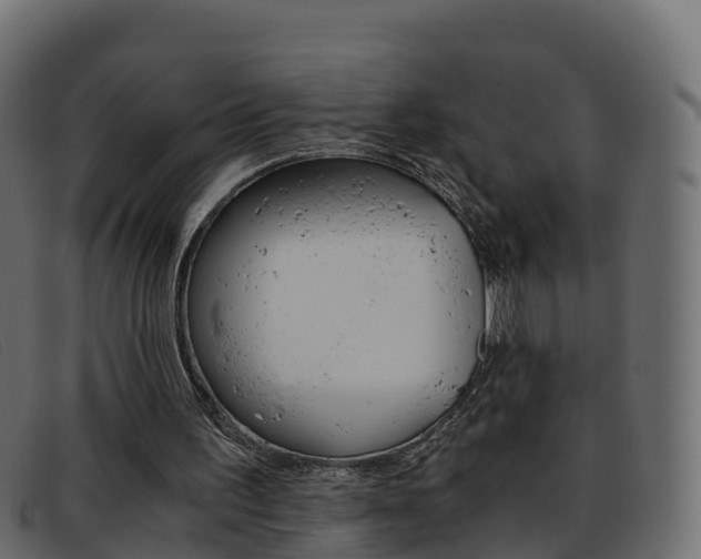 X0000093370195200710111333