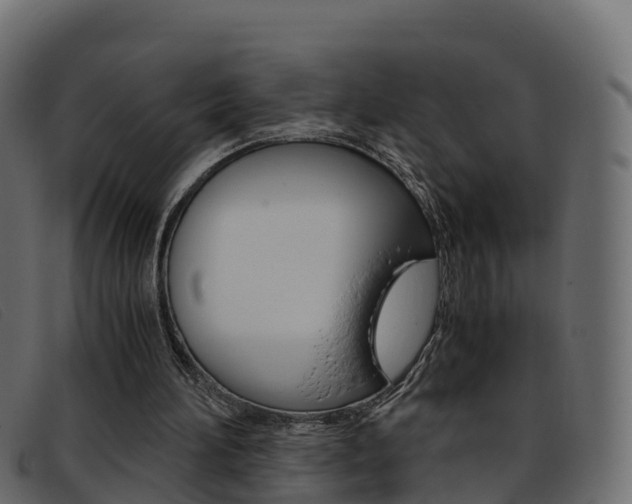 X0000093370196200710111333