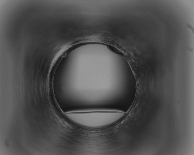 X0000093370200200710111333
