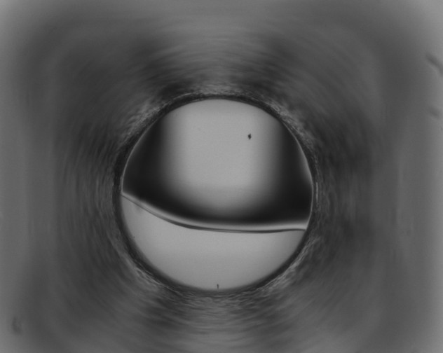 X0000093370201200710111333