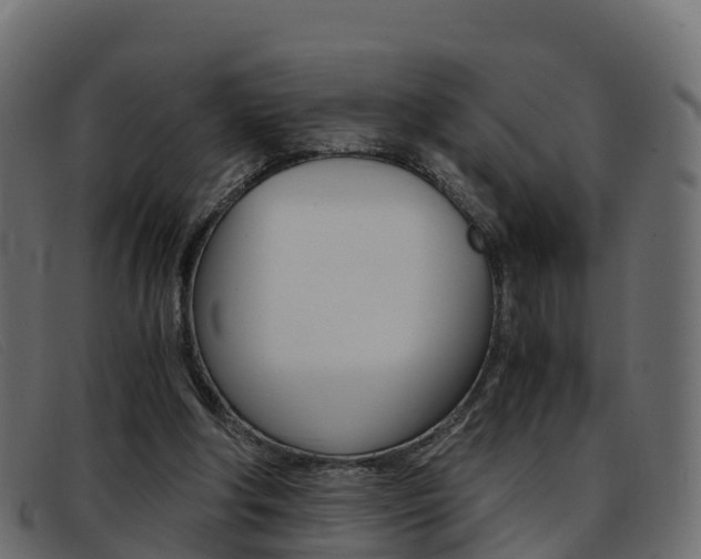 X0000093370202200710111333