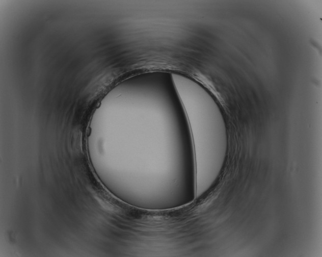 X0000093370205200710111333