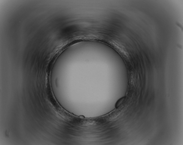 X0000093370206200710111333