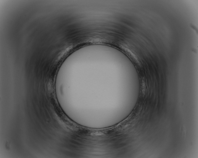 X0000093370208200710111333