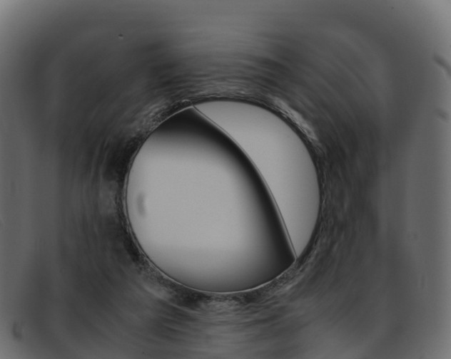 X0000093370209200710111332