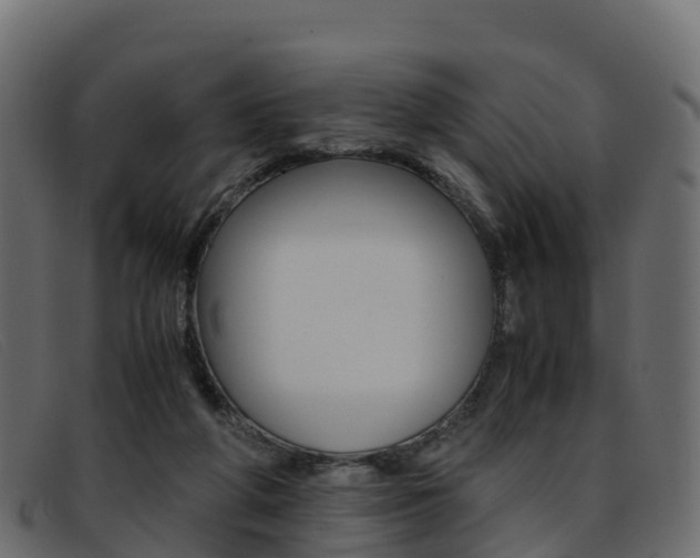 X0000093370210200710111332