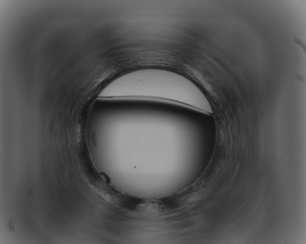X0000093370211200710111332