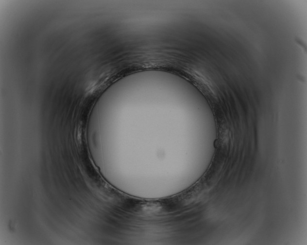 X0000093370214200710111332