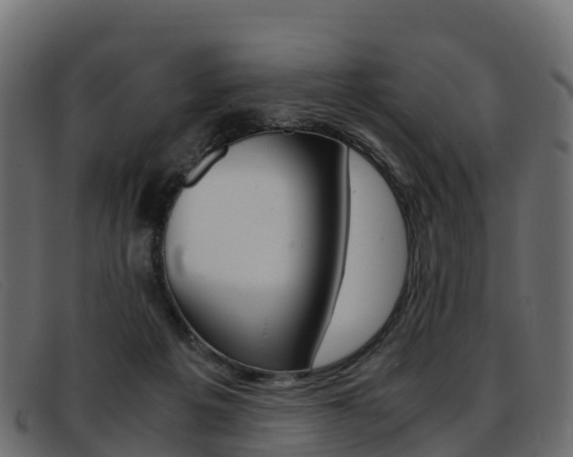 X0000093370217200710111332
