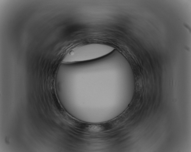 X0000093370218200710111332