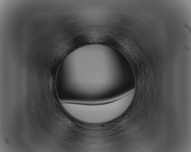 X0000093370219200710111332