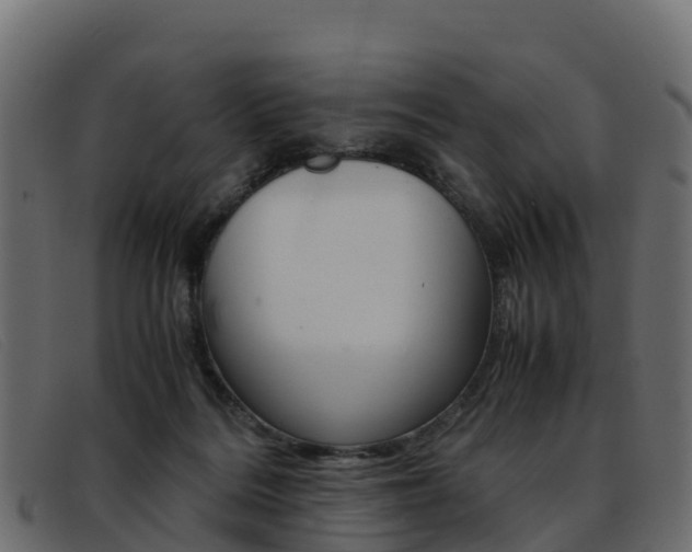 X0000093370220200710111332