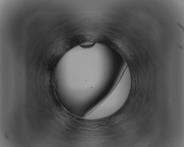 X0000093370221200710111332