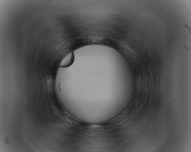 X0000093370222200710111332
