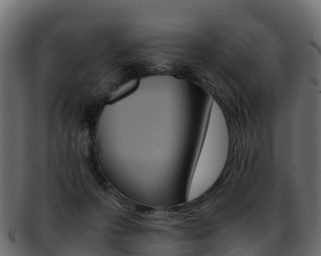 X0000093370223200710111332