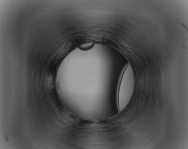 X0000093370224200710111332