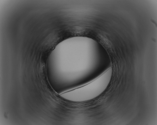 X0000093370225200710111332
