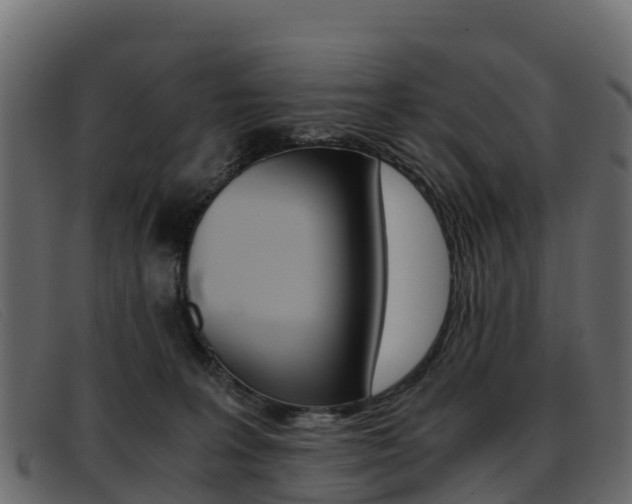 X0000093370227200710111332