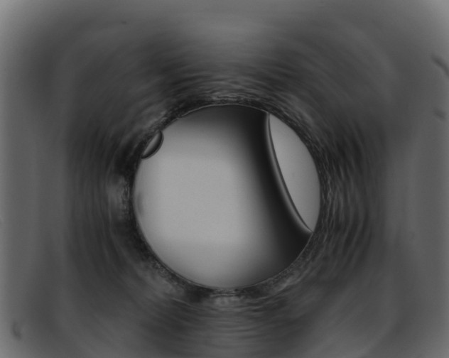 X0000093370228200710111332