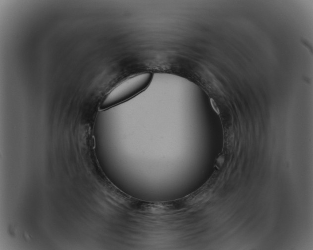 X0000093370229200710111332
