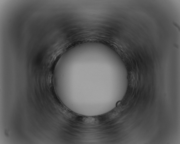 X0000093370230200710111332