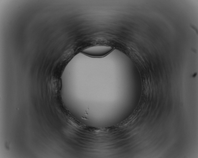 X0000093370232200710111332