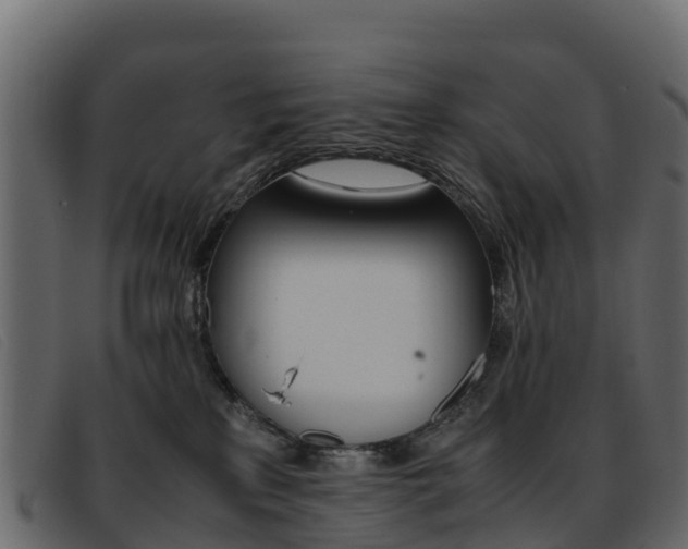 X0000093370233200710111332