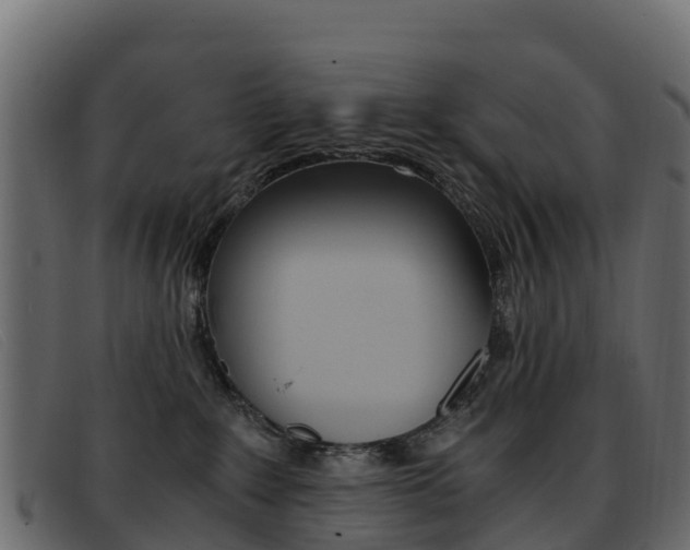 X0000093370235200710111332