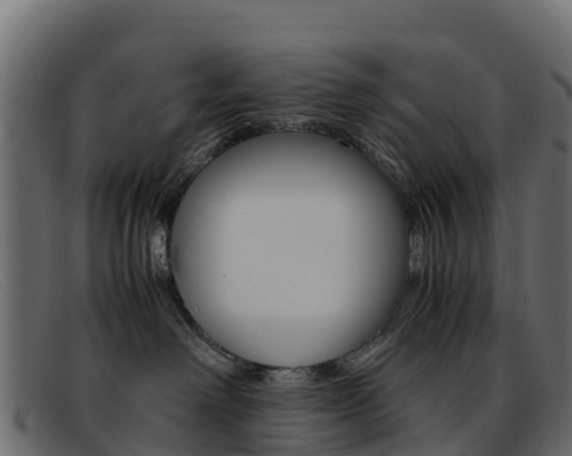 X0000093370238200710111332