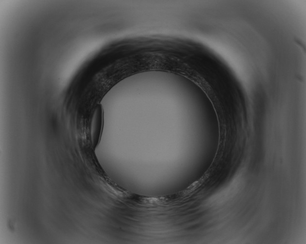 X0000093370239200710111332