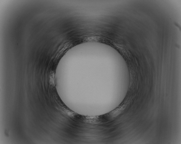 X0000093370240200710111332
