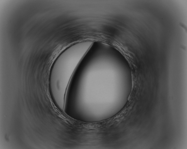 X0000093370241200710111332