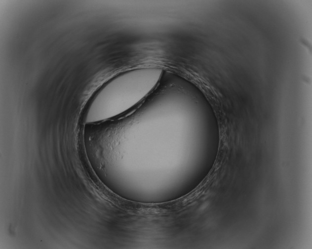 X0000093370242200710111332